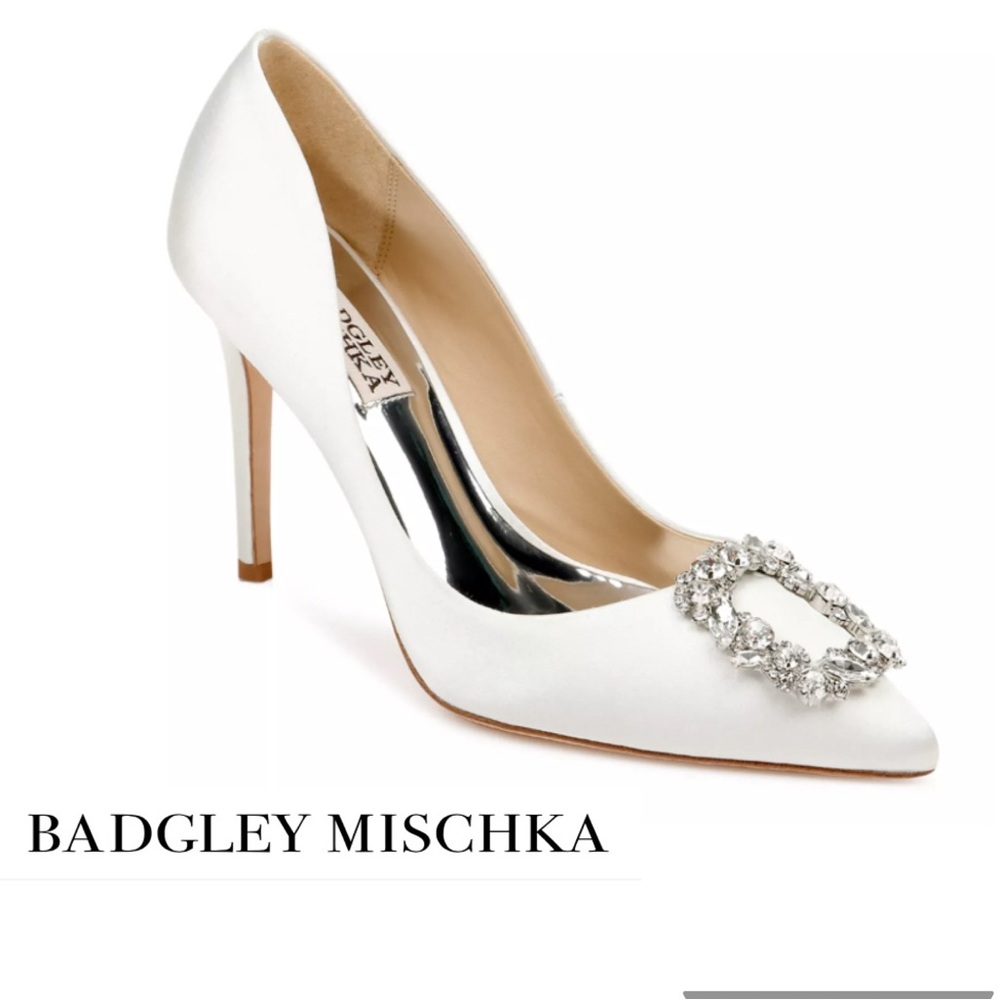 NWT Badgley Mischka Cher Pointed Toe Pump, 7,5
